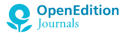 Open Edition